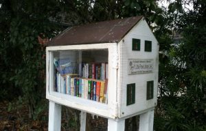 little free library